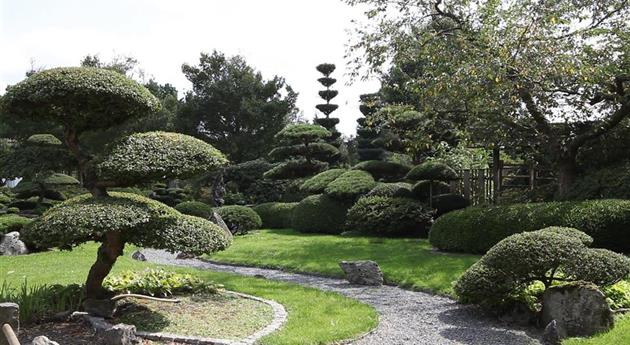 Gartengestaltung - Japangarten