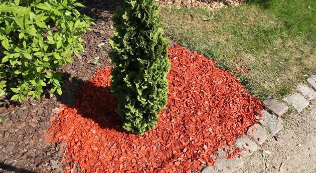 Mulch - Einsatz im Garten