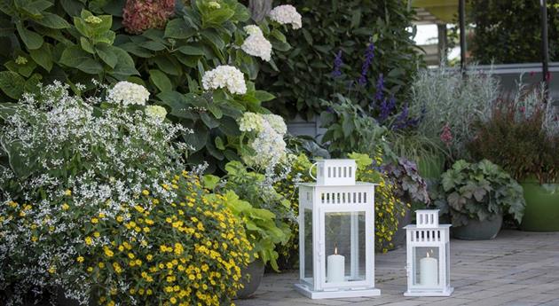 Laternen im Garten