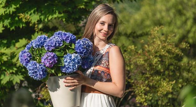 Frau mit blauer Hortensie