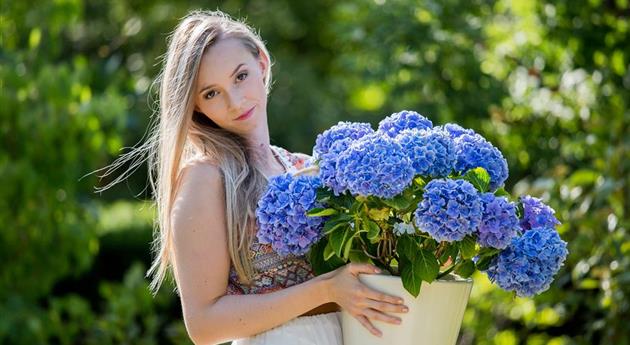 Frau mit blauer Hortensie