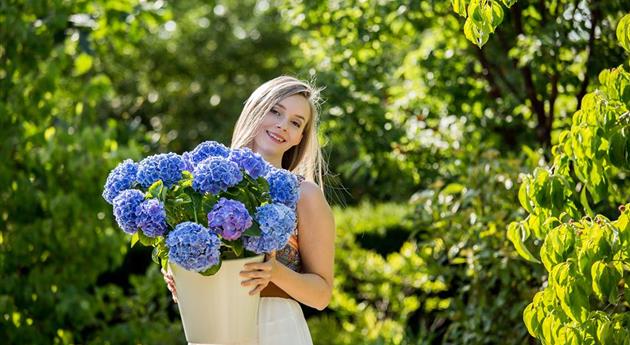 Frau mit blauer Hortensie