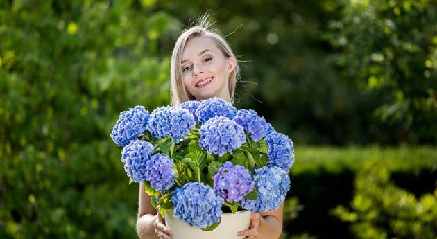 Frau mit blauer Hortensie