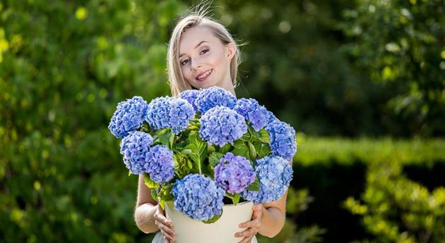 Frau mit blauer Hortensie