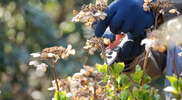 Frühjahrsputz im Garten – Das steht jetzt an