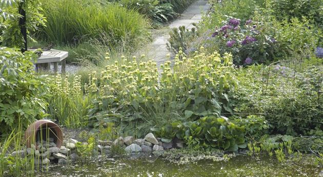 Der Naturgarten - Ausgleich zum Arbeitsalltag