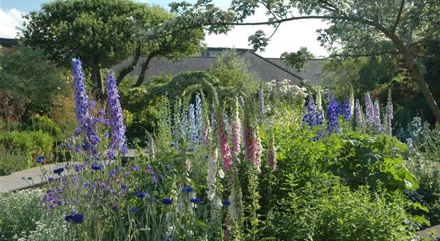 Jetzt ist es wieder soweit: Die Gartengestaltung mit Stauden