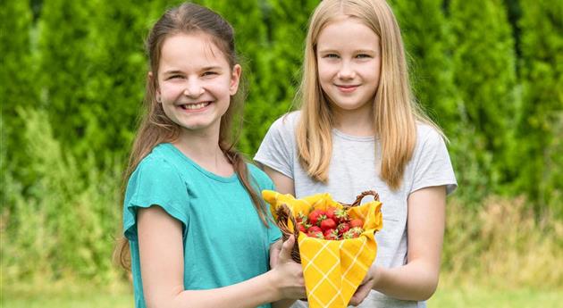 Erdbeermarmelade - Erdbeeren im Korb