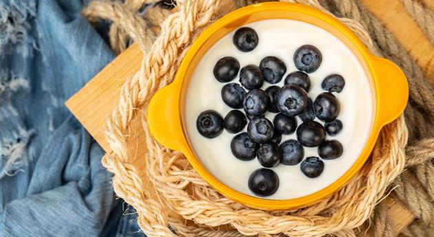 Heidelbeeren im Joghurt