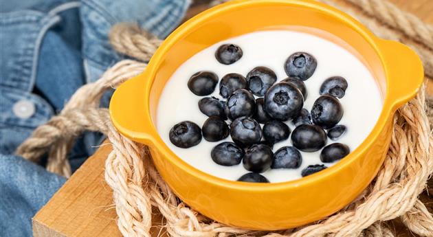 Heidelbeeren im Joghurt