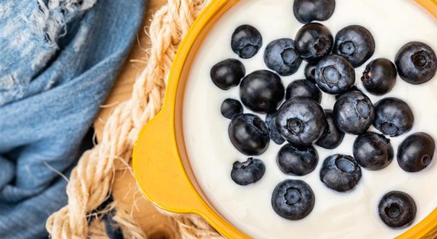 Heidelbeeren im Joghurt