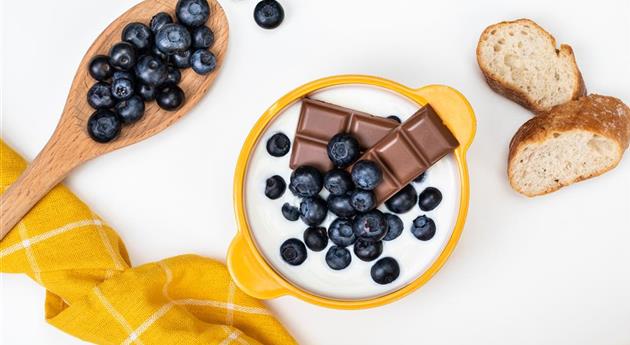 Heidelbeeren und Schokolade im Joghurt