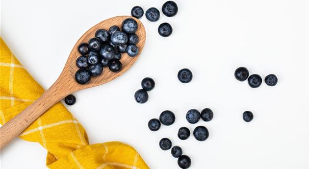 Heidelbeeren auf Löffel