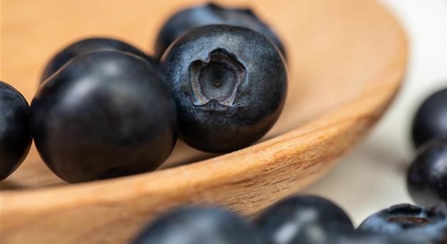 Heidelbeeren auf Löffel