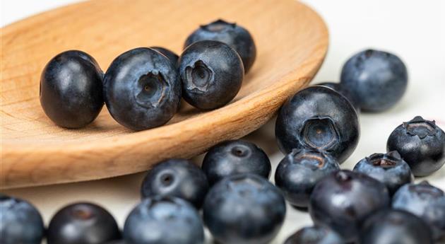 Heidelbeeren auf Löffel