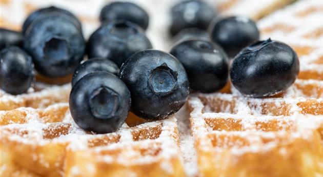 Waffel mit Heidelbeeren