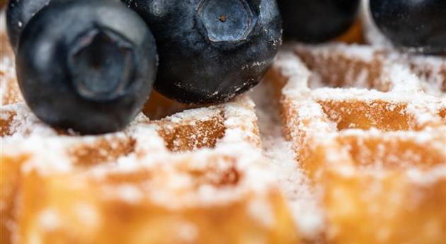 Waffel mit Heidelbeeren