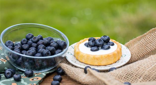 Törtchen mit Heidelbeeren