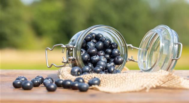 Heidelbeeren im Glas