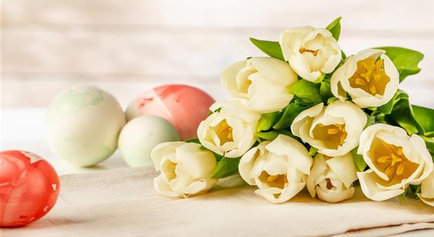 Die schönsten Blumen zu Ostern entdecken