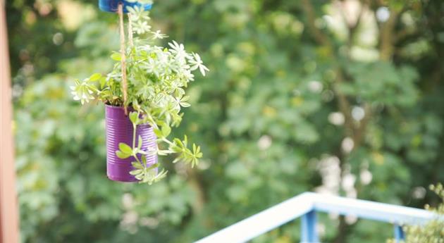 Eine Blumenampel aus Konservendosen basteln