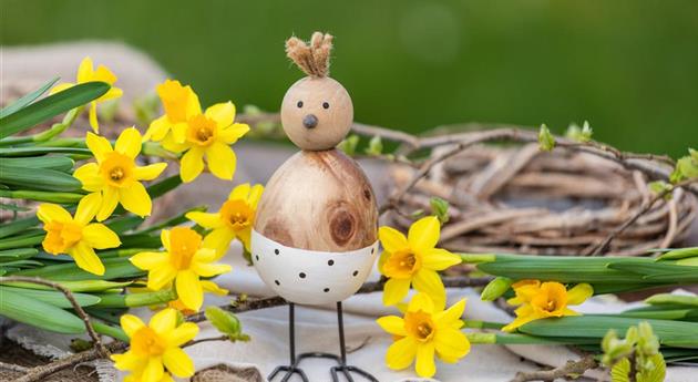 Die bunte Blütenpracht der frühblühenden Pflanzen zu Ostern 