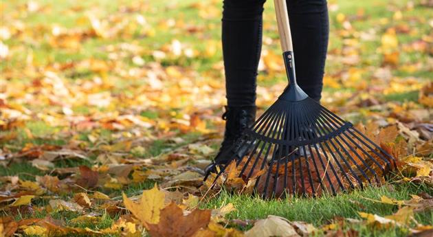 Gartenarbeit im Oktober - Letzte Vorbereitungen vor dem Winter