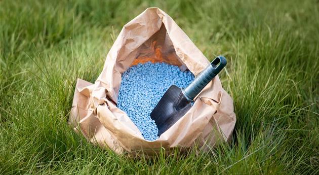 Richtig düngen für Pflanzen in Haus und Garten