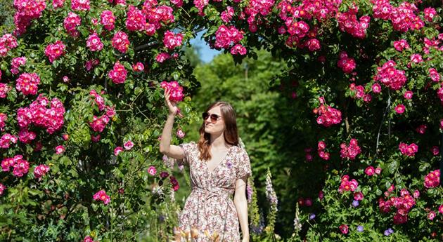 Frau im Rosengarten