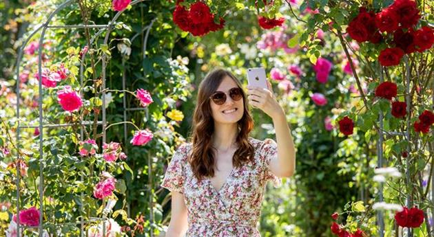 Frau mit Smartphone im Rosengarten