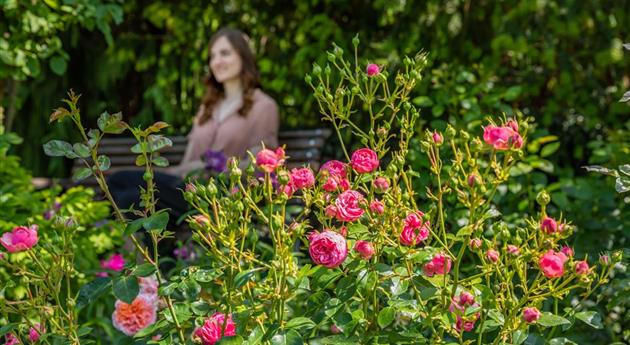 Frau im Rosengarten