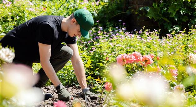 Mann bei der Gartenarbeit