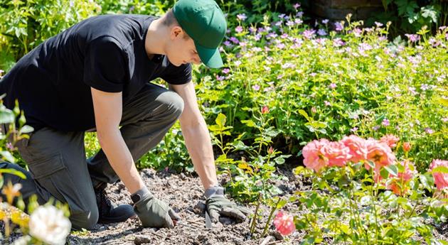 Mann bei der Gartenarbeit