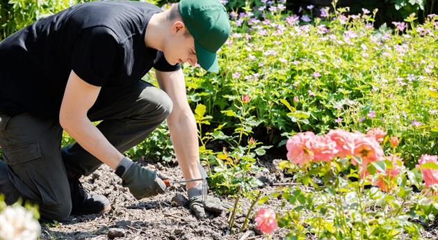 Mann bei der Gartenarbeit