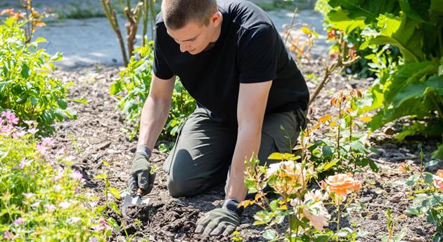 Mann bei der Gartenarbeit