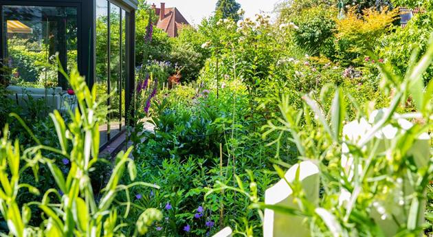 Gartenarbeit im August: Tipps und Tricks für einen bunten Sommer