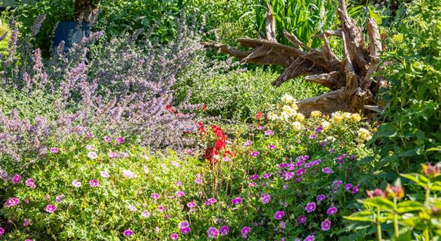 Blackbox Gardening – Perfekt für Gartenanfänger