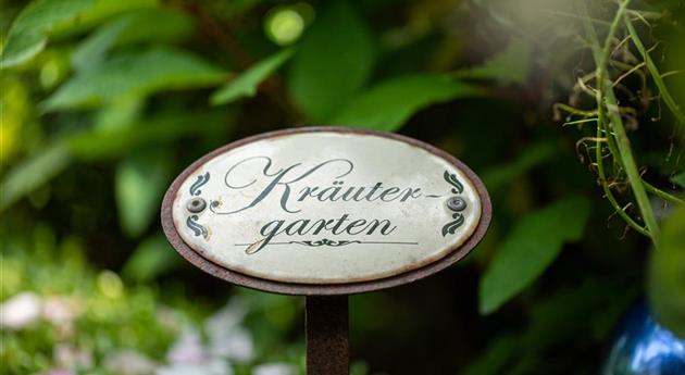 Ernte ohne Garten - Im duftenden Kräutergarten auf dem Balkon