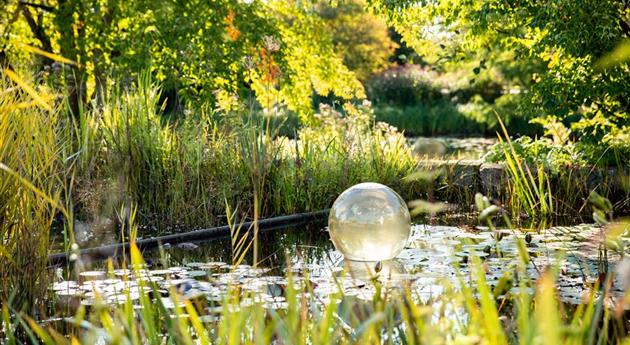 Ein Gartenteich als kleines Stück Natur im eigenen Garten