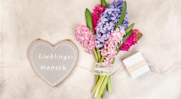 Valentinstag - Geschenk und Hyazinthen