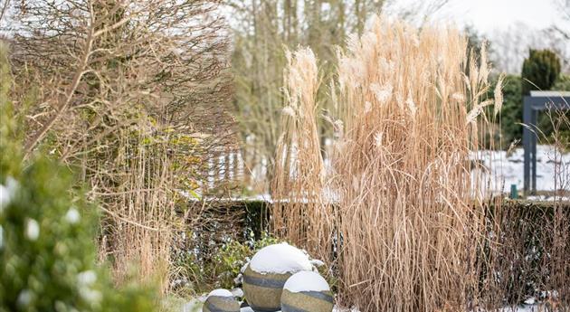 Warum Gartenarbeit im Januar wichtig ist