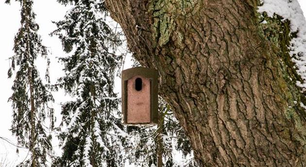 Vogelhaus im Schnee