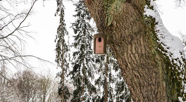 Vogelhaus im Schnee