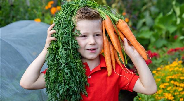 Kind im Garten - Karotten ernten