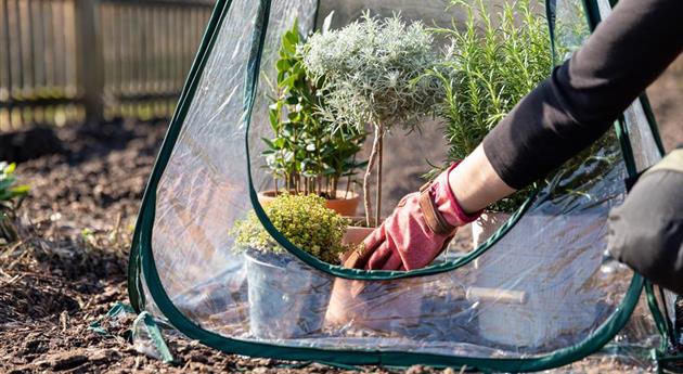 Gartenarbeit im November - Vorbereitung auf den Winter und das kommende Jahr