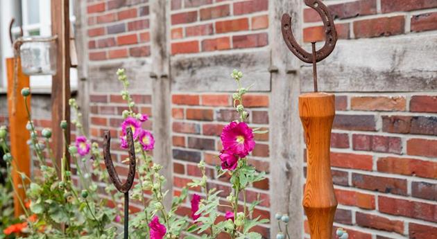 Upcycling im Garten – Nachhaltig kreativ