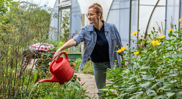 Gartenarbeit im Herbst