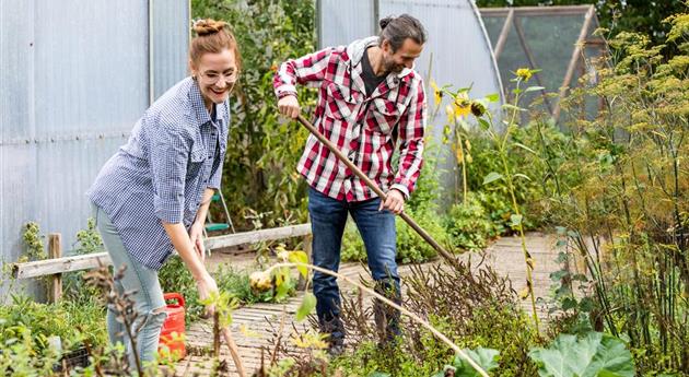 Gartenarbeit im Herbst