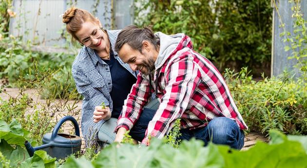 Gartenarbeit im Herbst