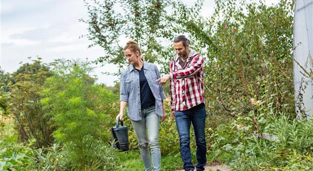 Gartenarbeit im Herbst